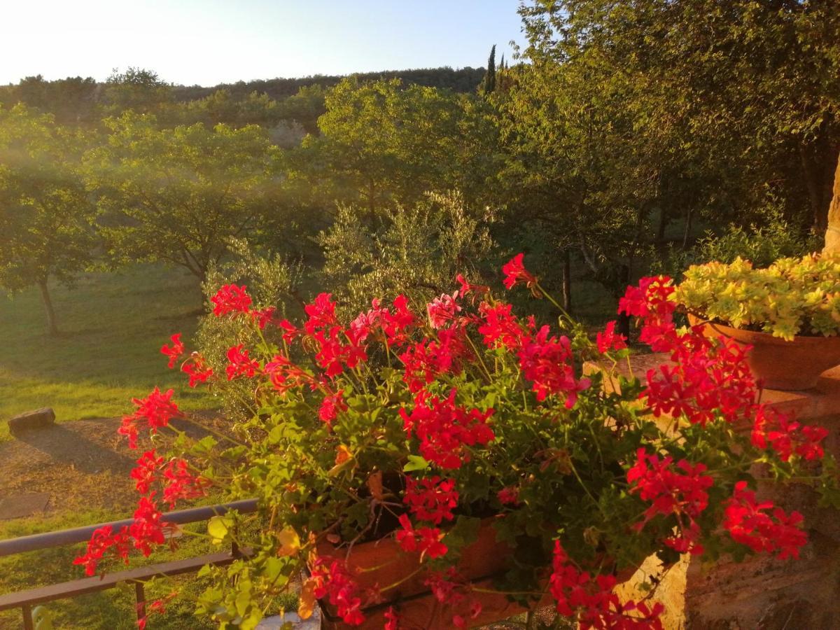 Agriturismo Sommassa Греве ин Кианти Екстериор снимка